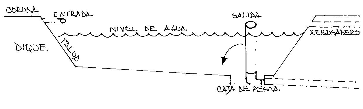Estanque en tierra